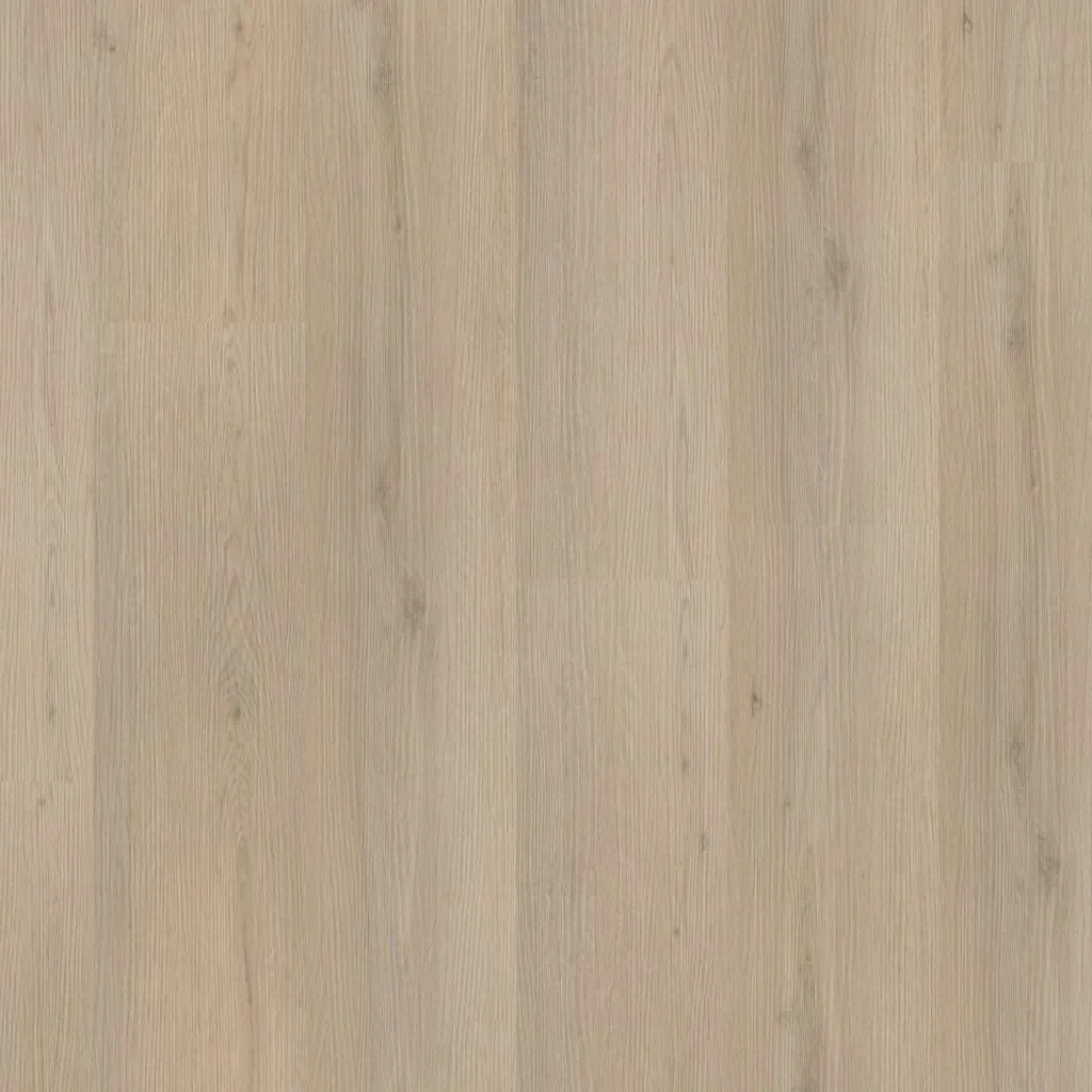 Talvion Forma 8512 — productbeeld