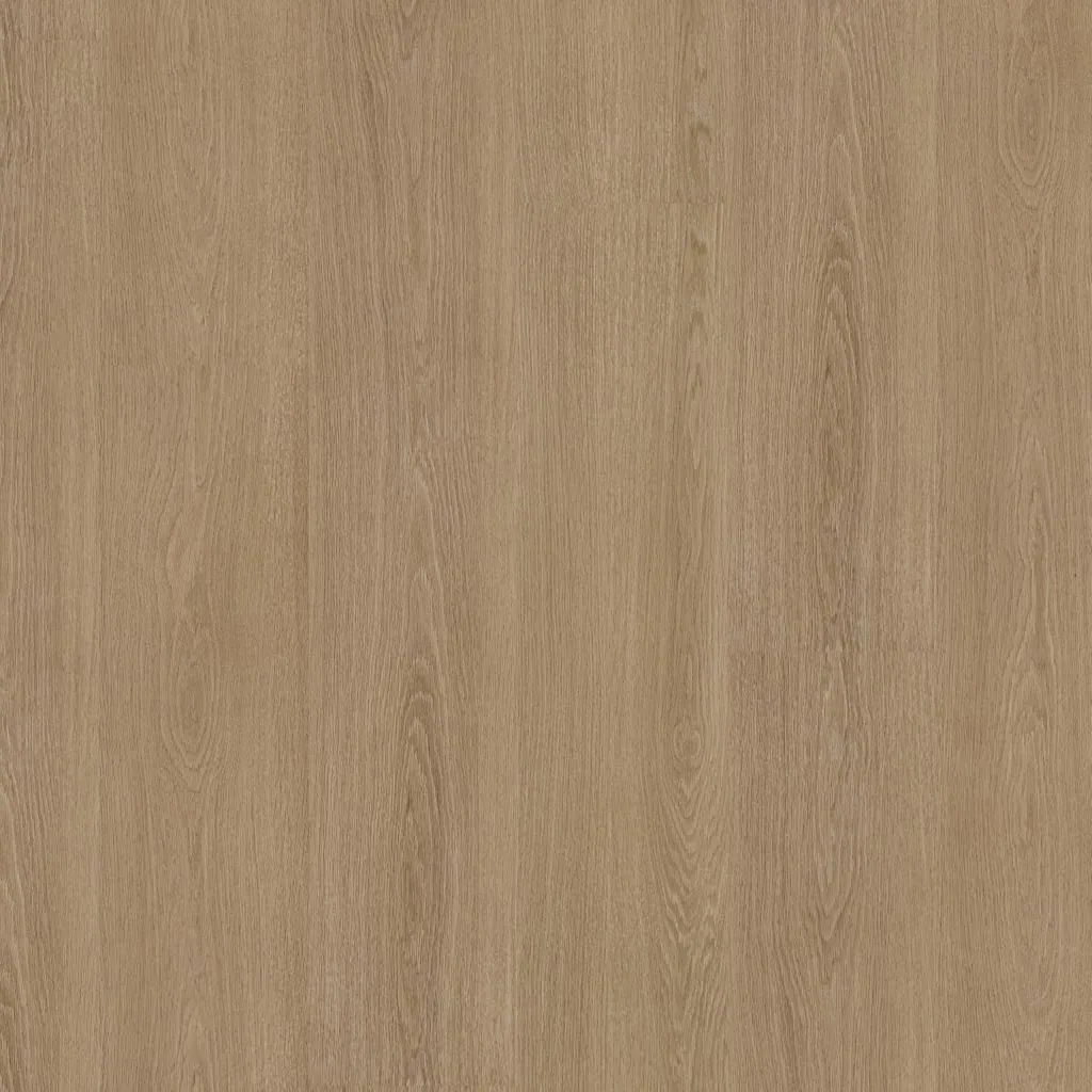 Talvion Forma 1003 — productfoto