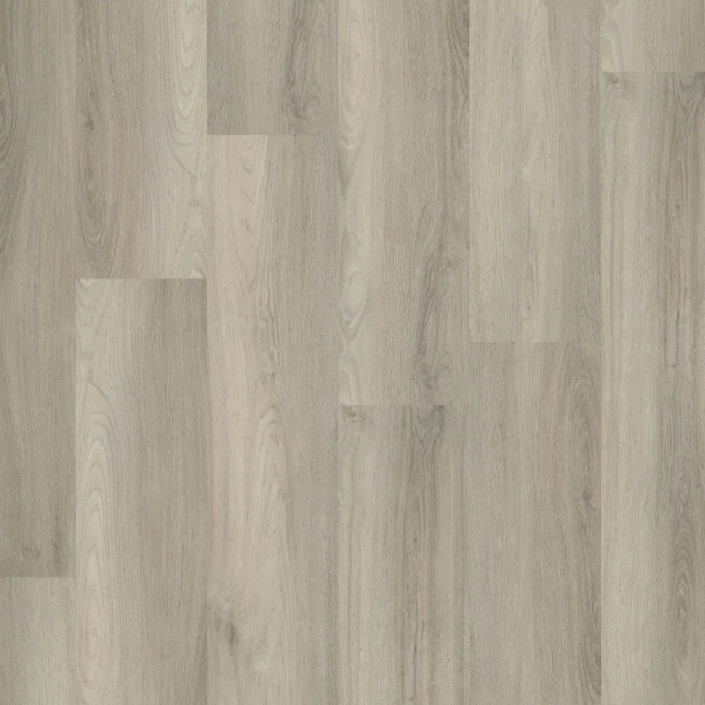 Talvion Forma 4505 — productbeeld