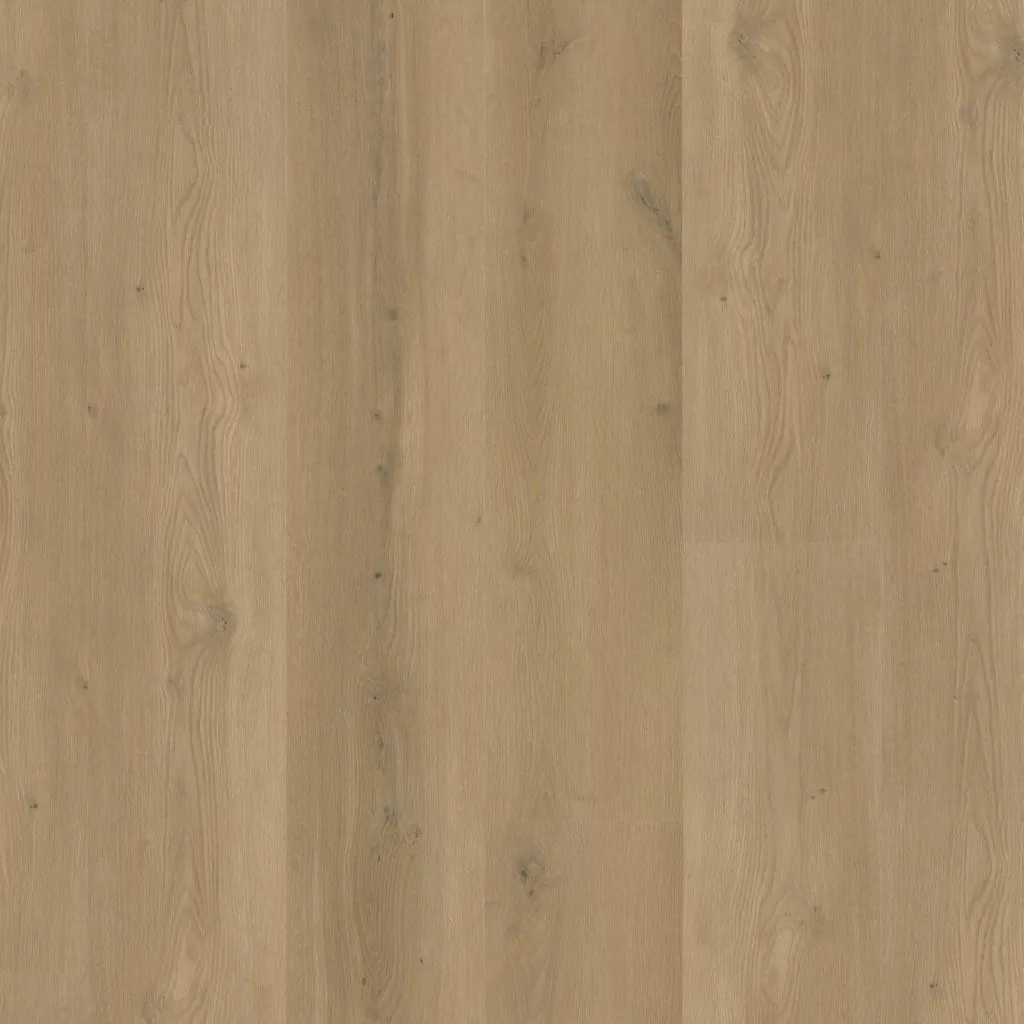 Talvion Forma 1911 — productbeeld