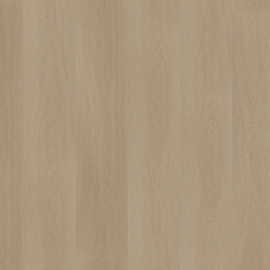 Talvion Forma 1612 — productbeeld