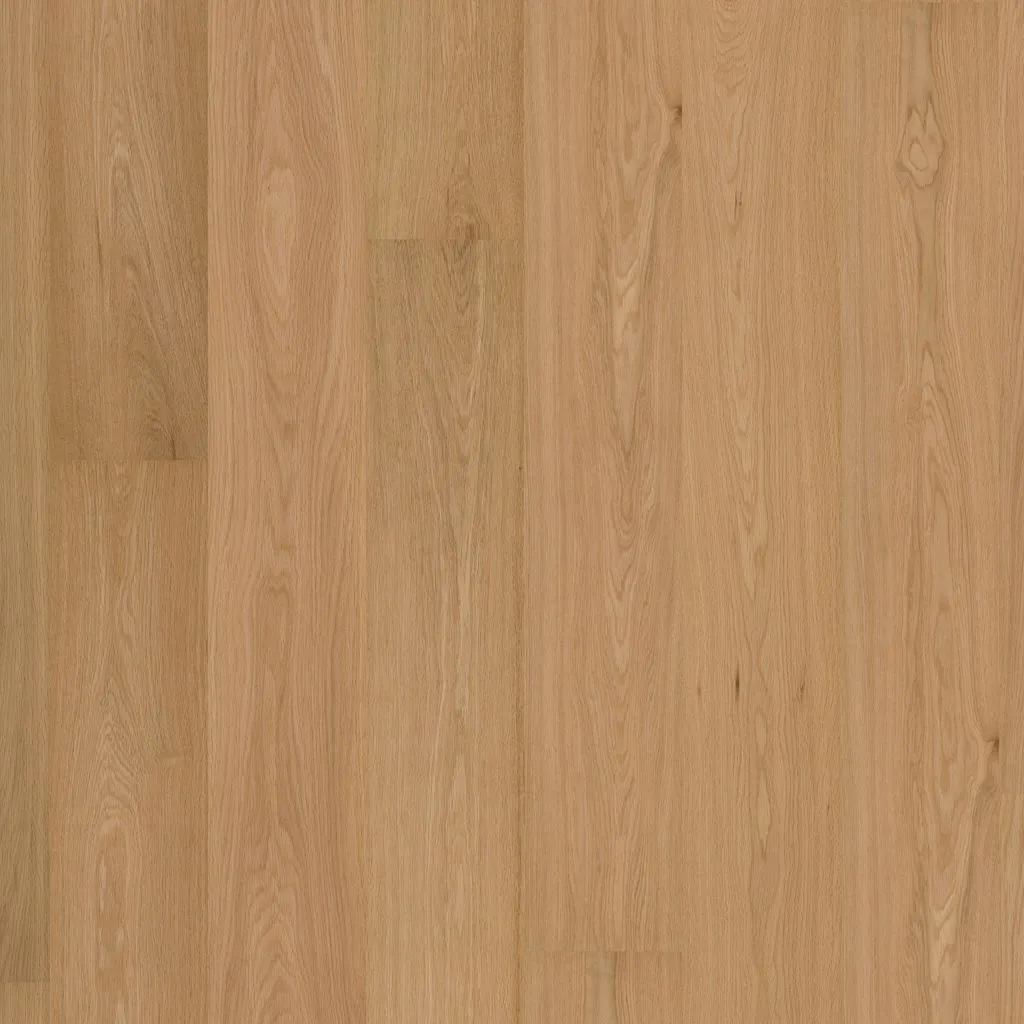 Talvion Forge 19 Select Naturel — productbeeld