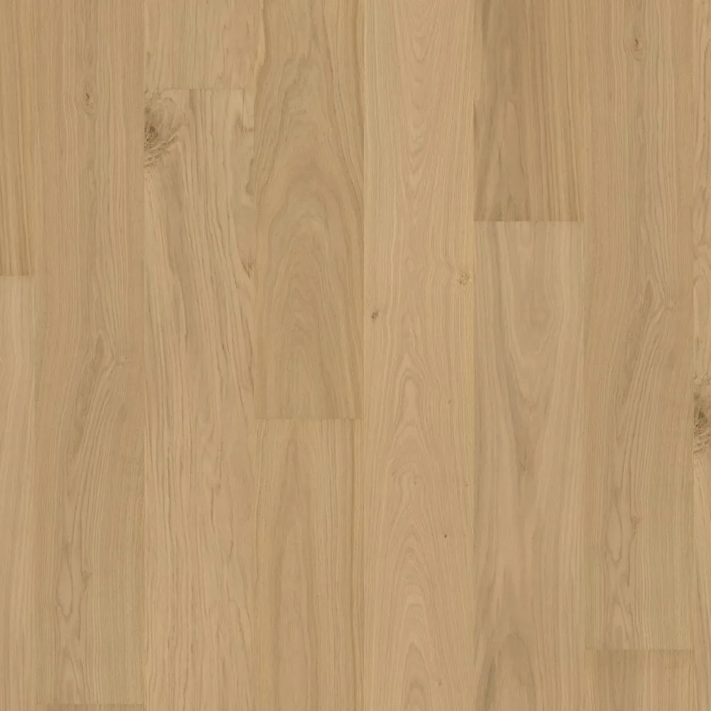 Talvion Forge 19 Rustiek Blank — productbeeld