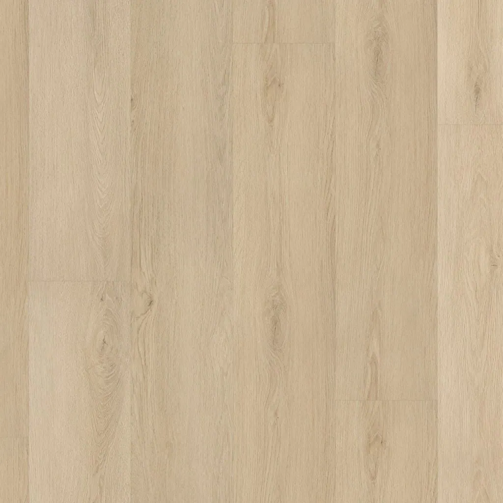 Talvion Forma 3012 — productfoto