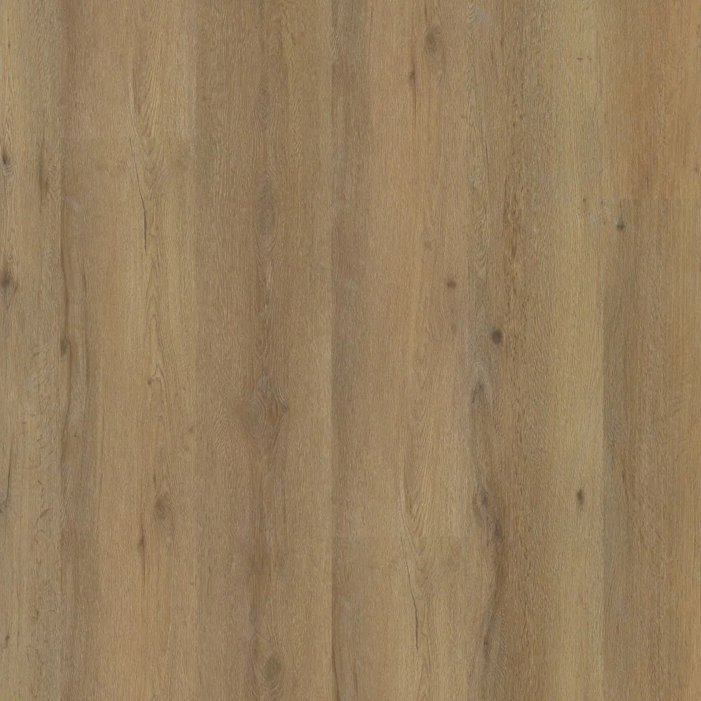 Talvion Forma 1823 — productfoto