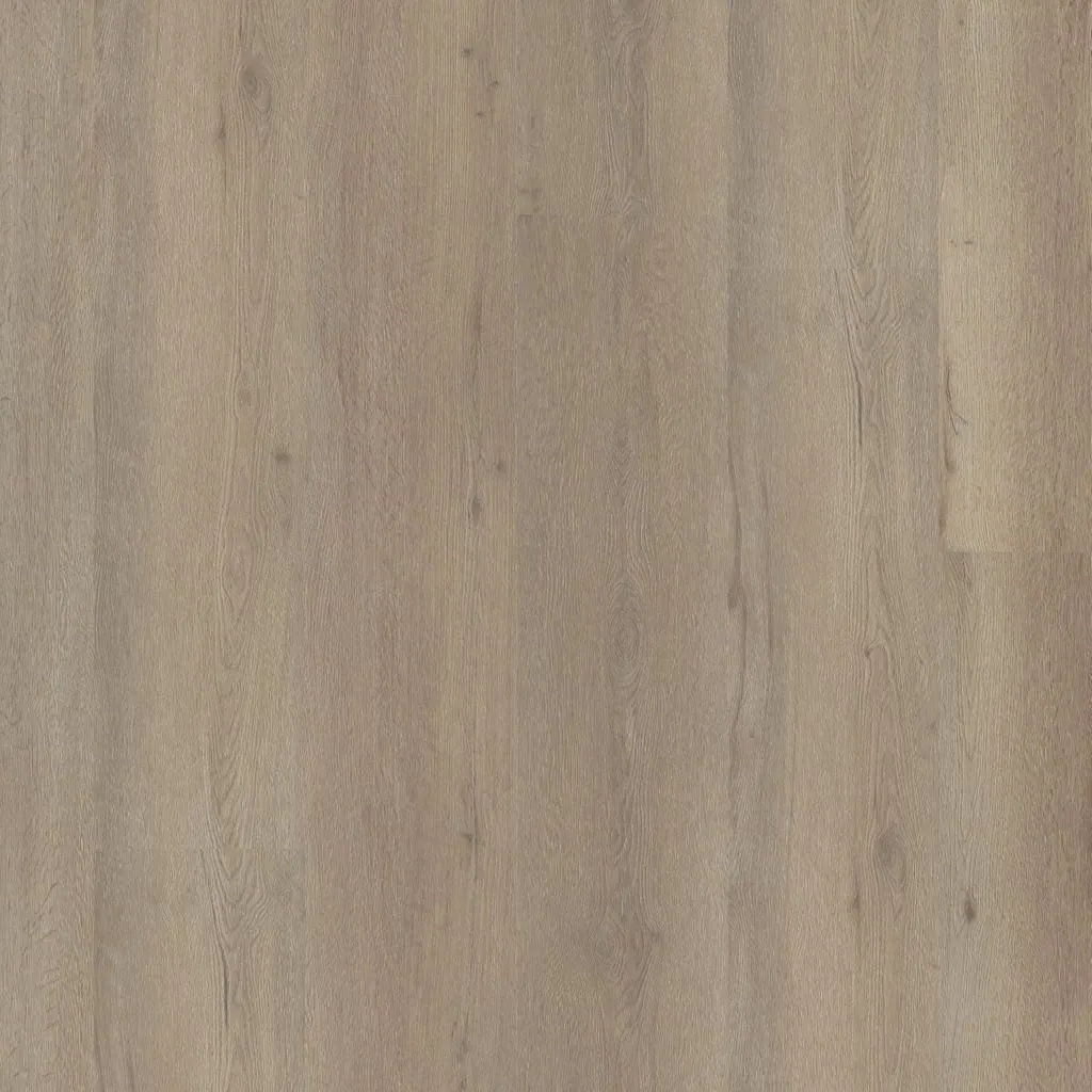 Talvion Forma 1820 — productbeeld