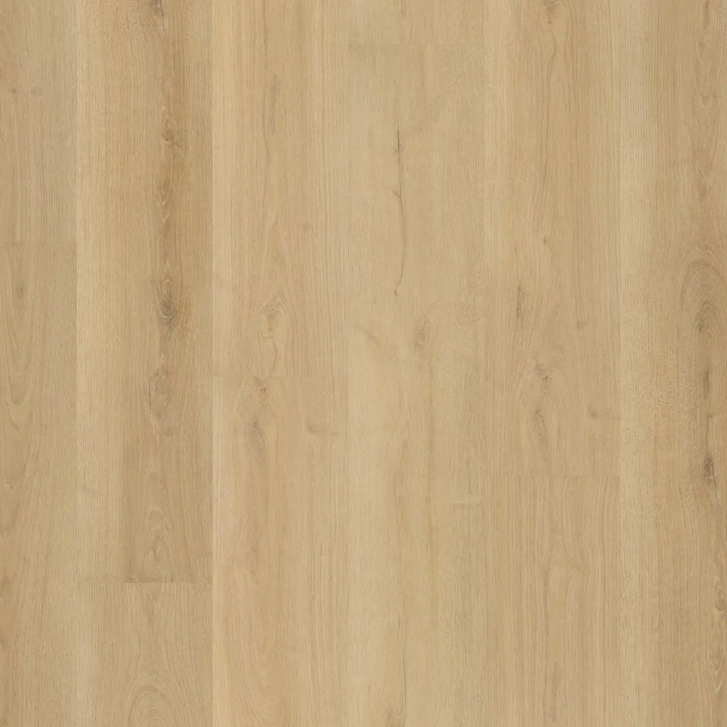 Talvion Forma 1010 — productfoto