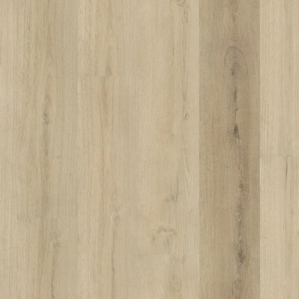 Talvion Forma 1011 — productfoto