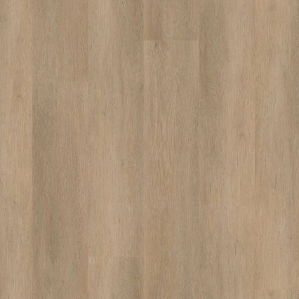 Talvion Forma 8311 — productbeeld