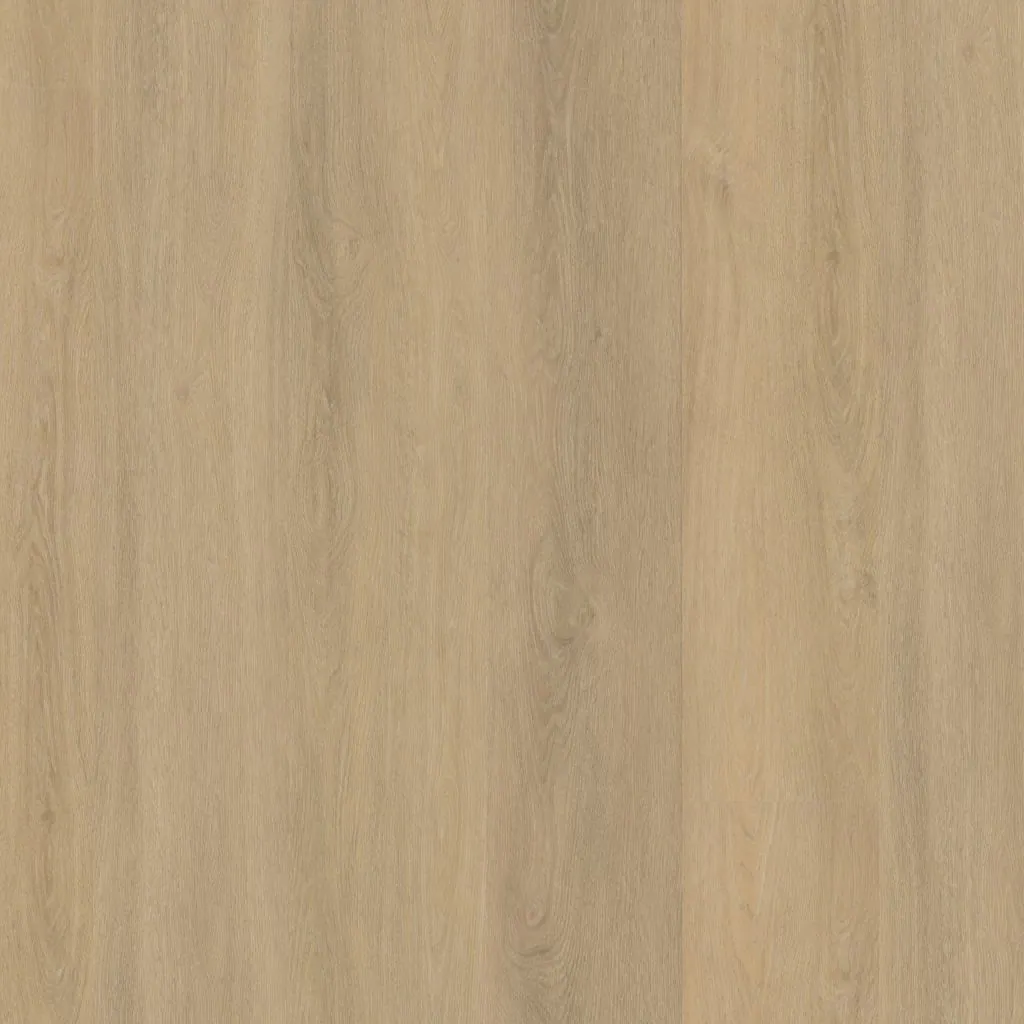 Talvion Forma 6504 — productbeeld