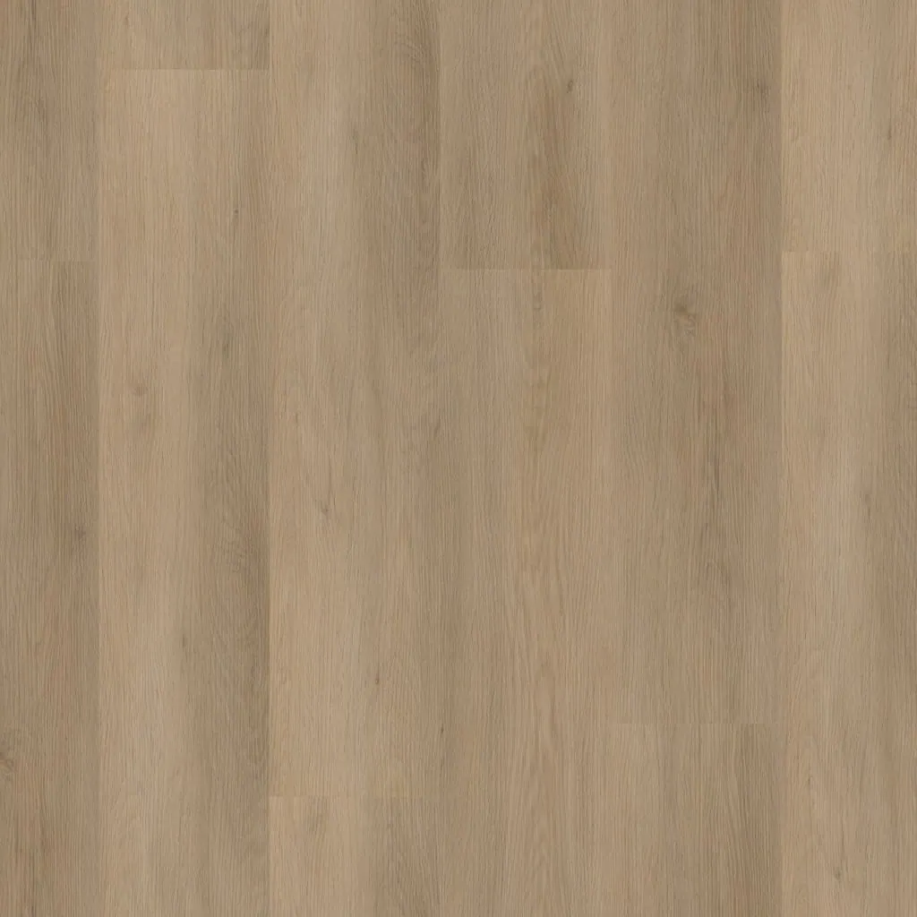 Talvion Forma 8313 — productfoto