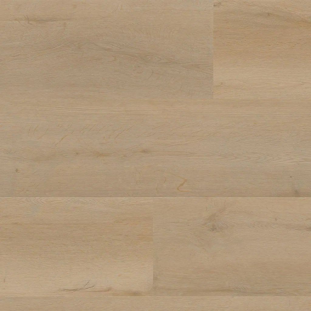 Talvion Forma 1824 — productbeeld