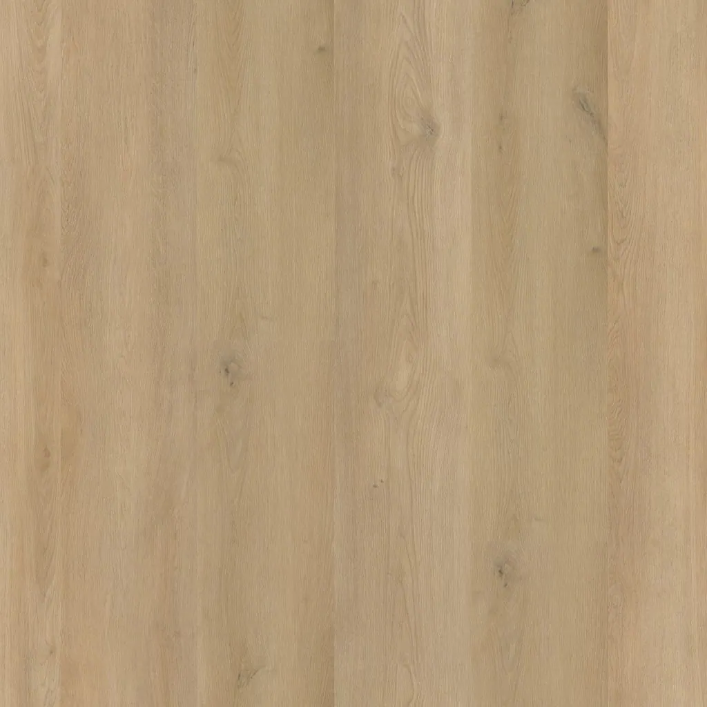 Talvion Forma 1910 — productbeeld
