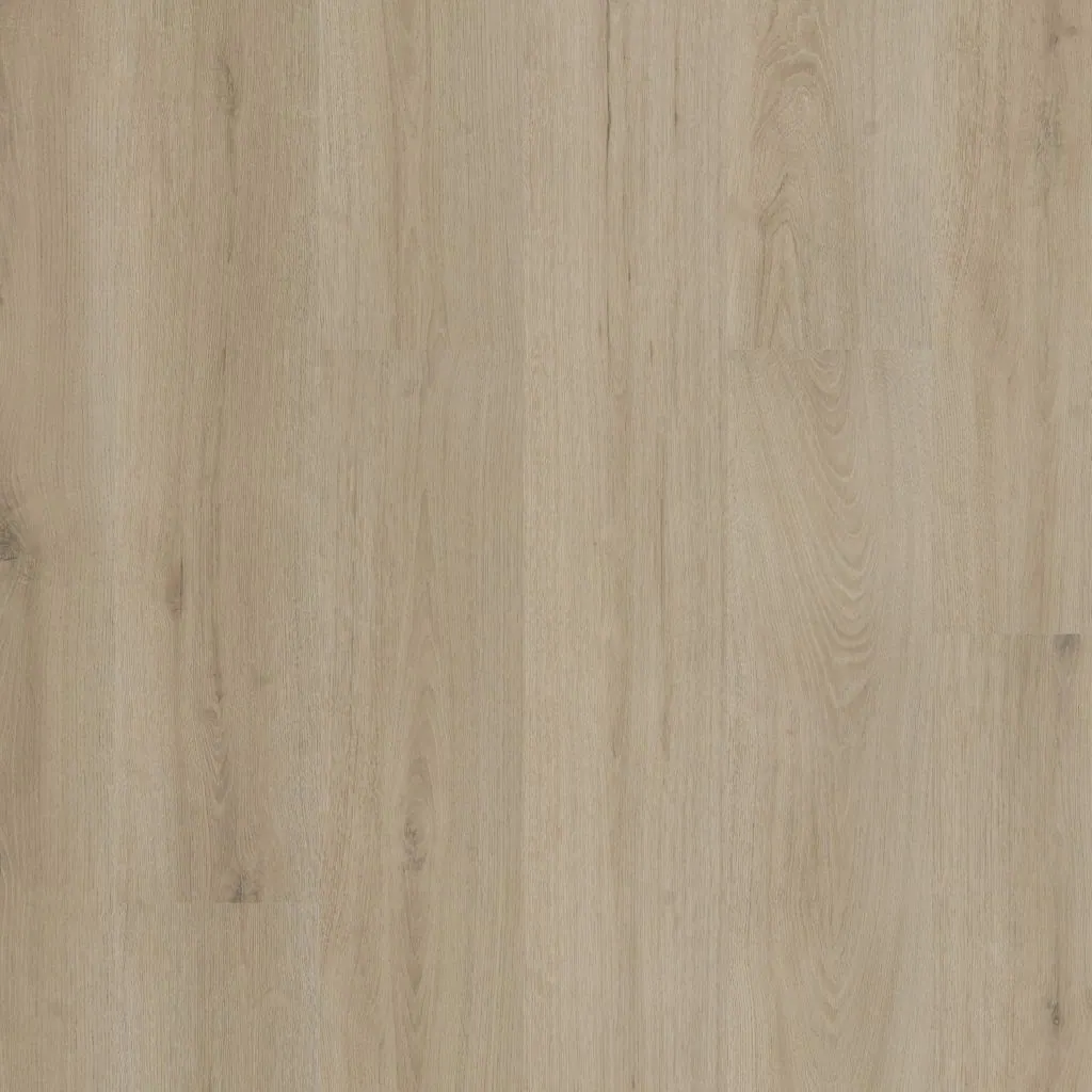 Talvion Forma 1012 — productfoto