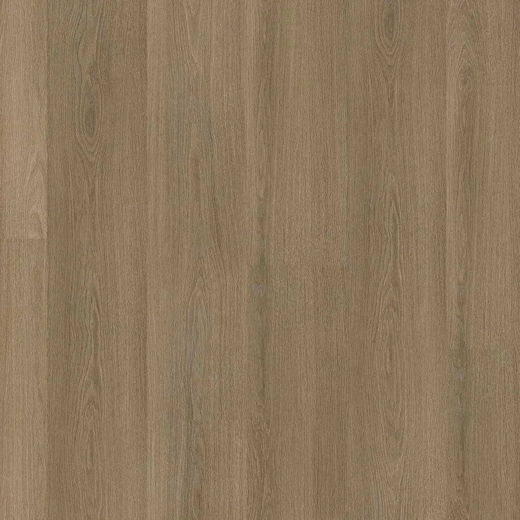 Talvion Forma 1004 — productfoto