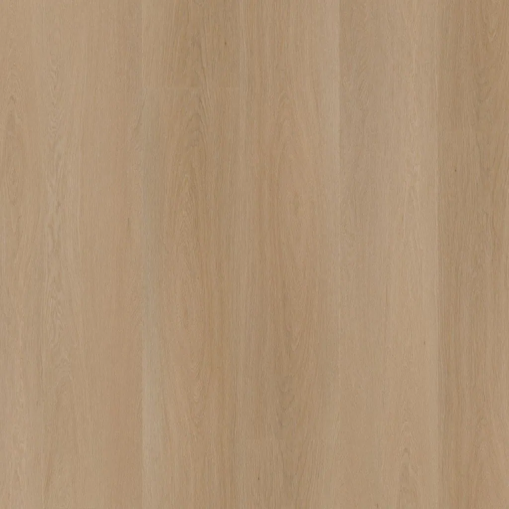 Talvion Forma 1610 — productbeeld