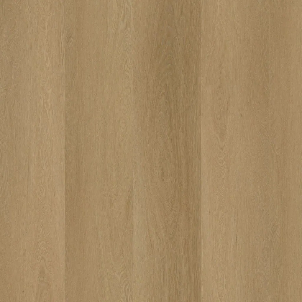 Talvion Forma 1614 — productbeeld