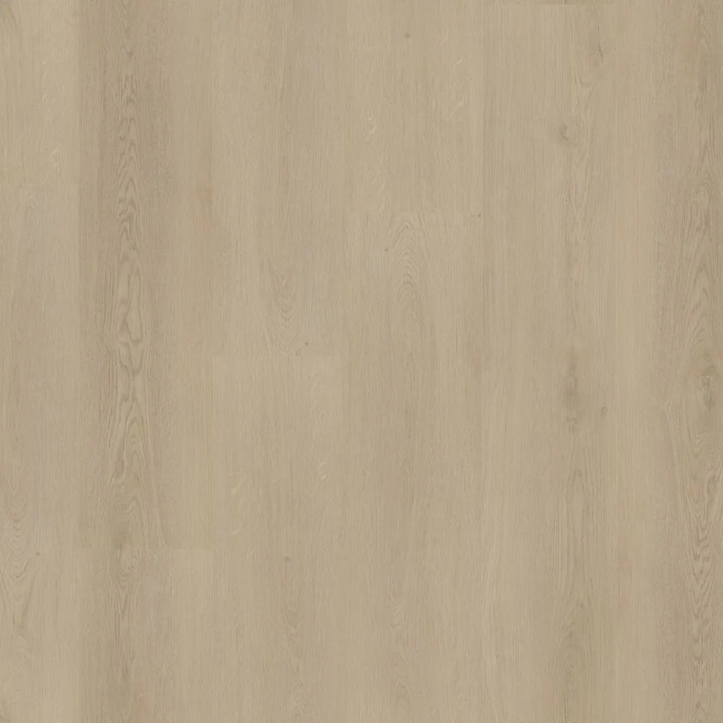 Talvion Forma 7510 — productbeeld