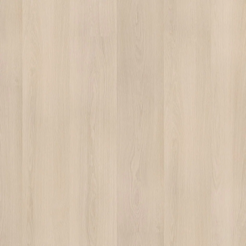 Talvion Forma 1001 — productfoto