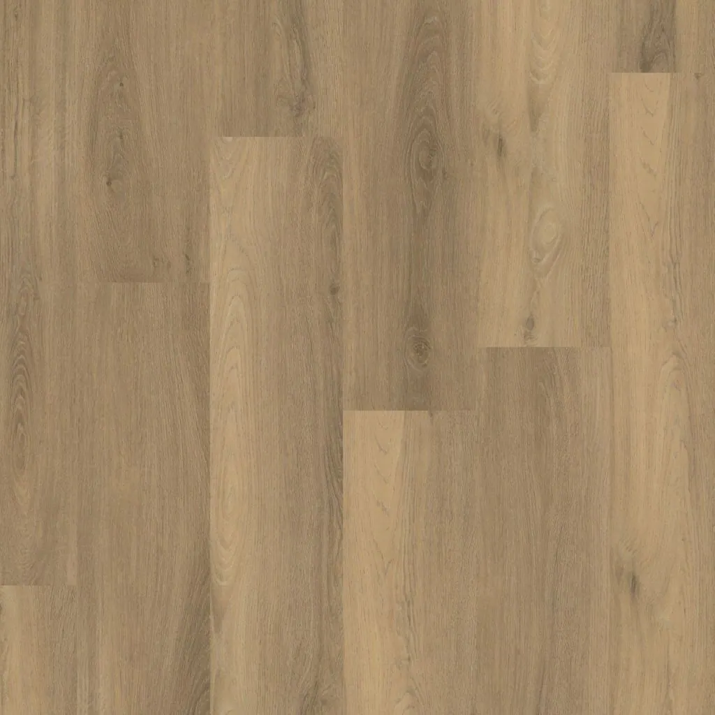 Talvion Forma 4503 — productbeeld