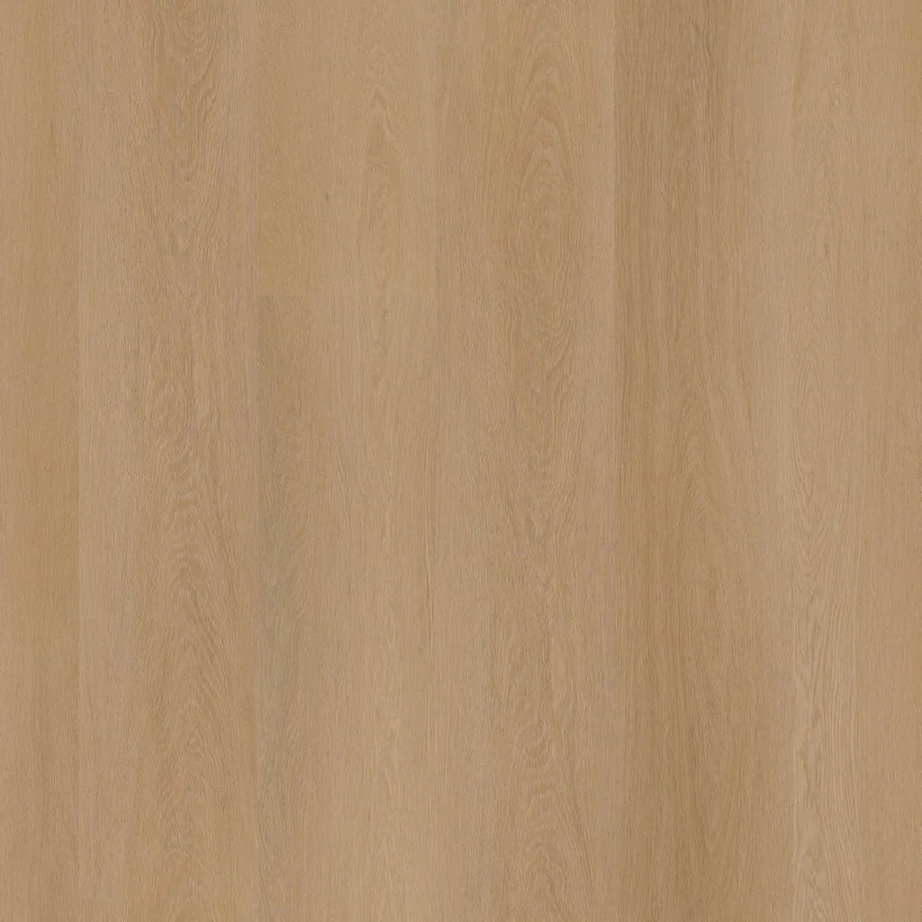 Talvion Forma 1611 — productbeeld