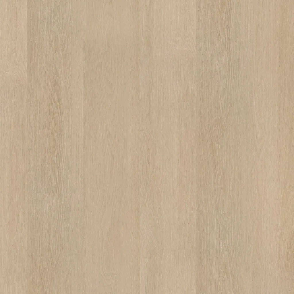 Talvion Forma 1002 — productfoto