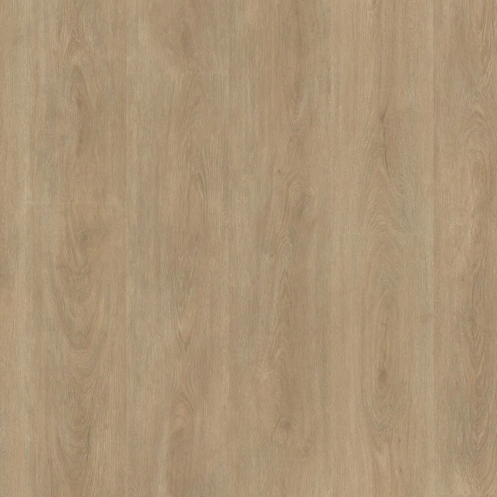 Talvion Forma 1531 — productbeeld