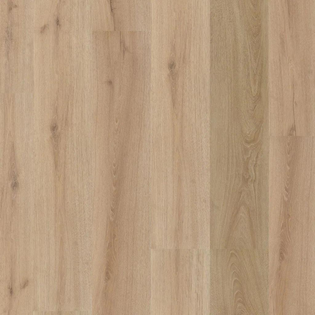Talvion Forma 1013 — productfoto