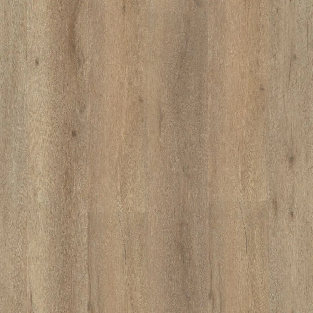 Talvion Forma 1822 — productbeeld