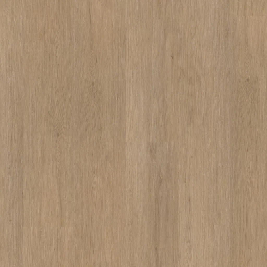 Talvion Forma 8513 — productfoto