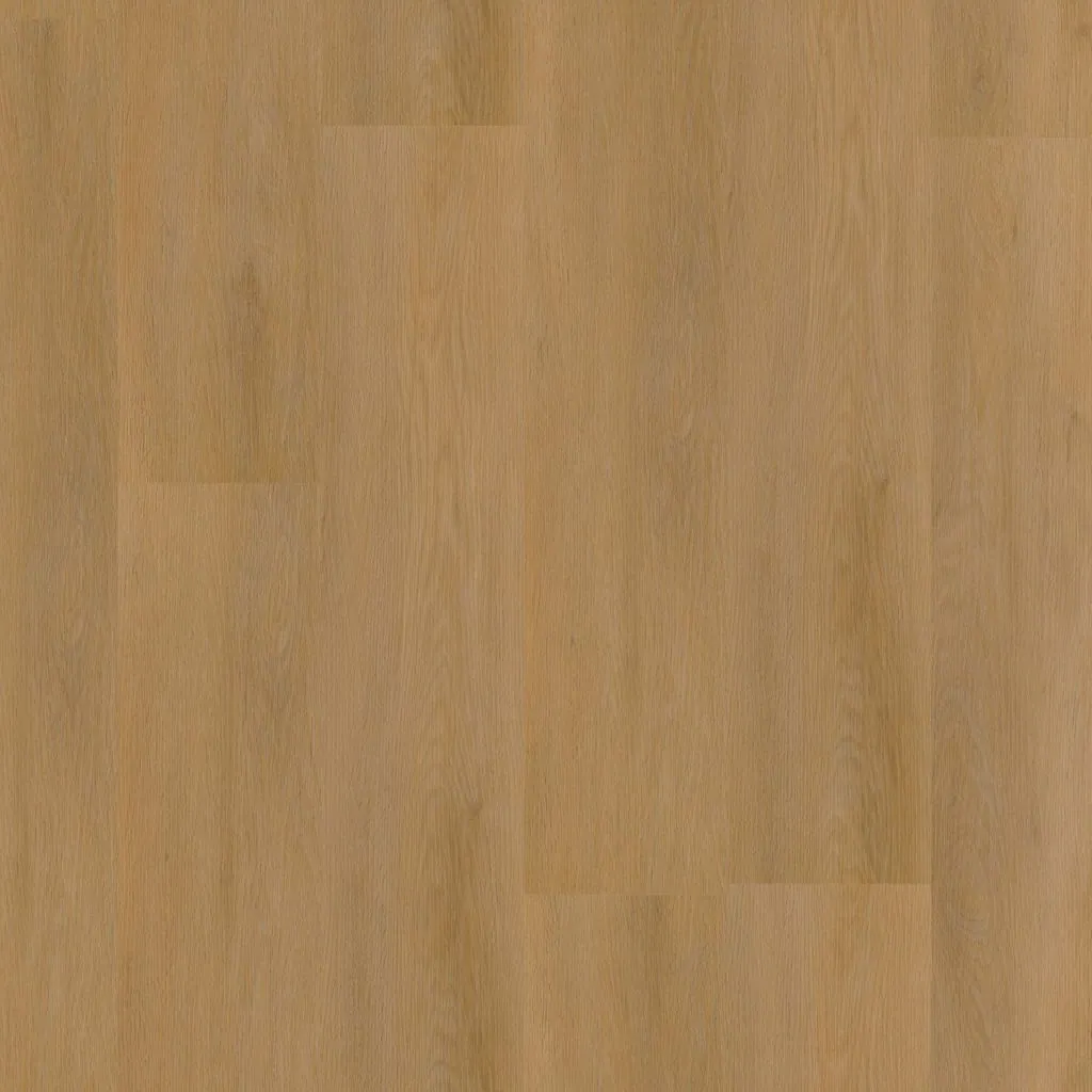 Talvion Forma 8310 — productfoto
