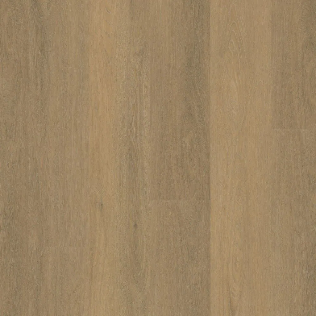 Talvion Forma 6503 — productfoto