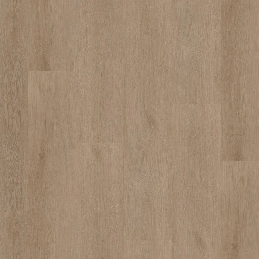 Talvion Forma 7511 — productbeeld