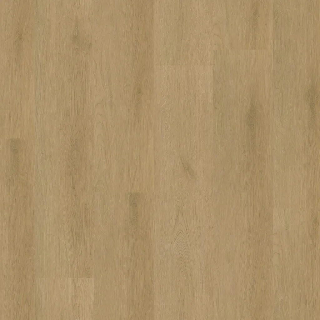Talvion Forma 7513 — productfoto